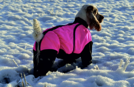 Janutex lämpöhaalari Pallo, NARTTU