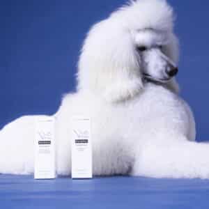 PAIKKA Paw Wax 50ml