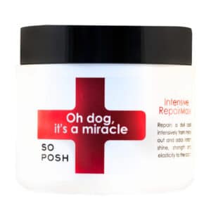 SO POSH – Oh Dog, It’s a Miracle Mask