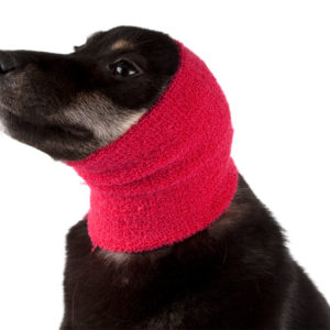 Ear Buddy froteepanta (korvahuppu) Pro Pack 4 kpl