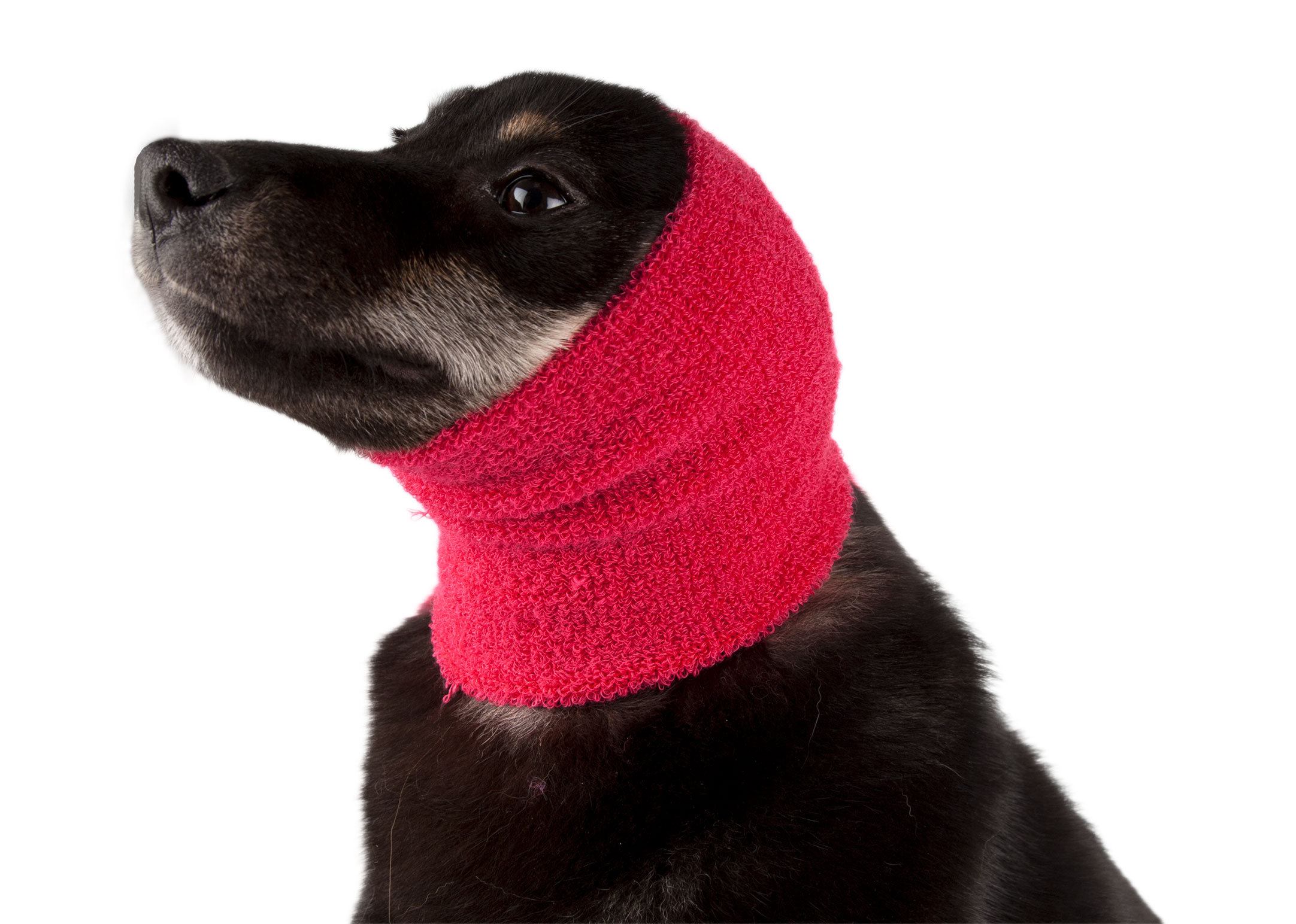 Ear Buddy froteepanta (korvahuppu) Pro Pack 4 kpl - Image 2