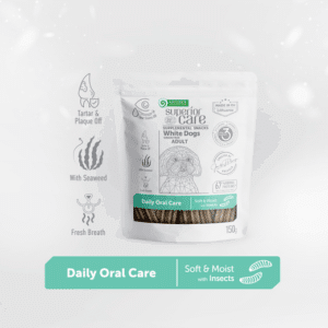 NP Dental White herkkutikku hyönteinen 150g