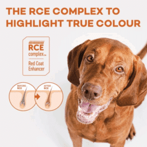 NP Dog Red Coat Lammas 4 kg