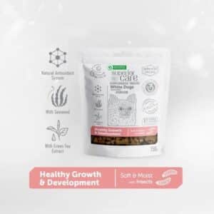 NP PS Junior herkku hyönteinen 150g