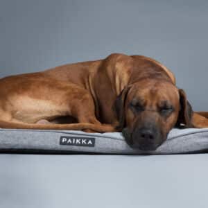 PAIKKA Cooling Orthopedic Mattress Grey
