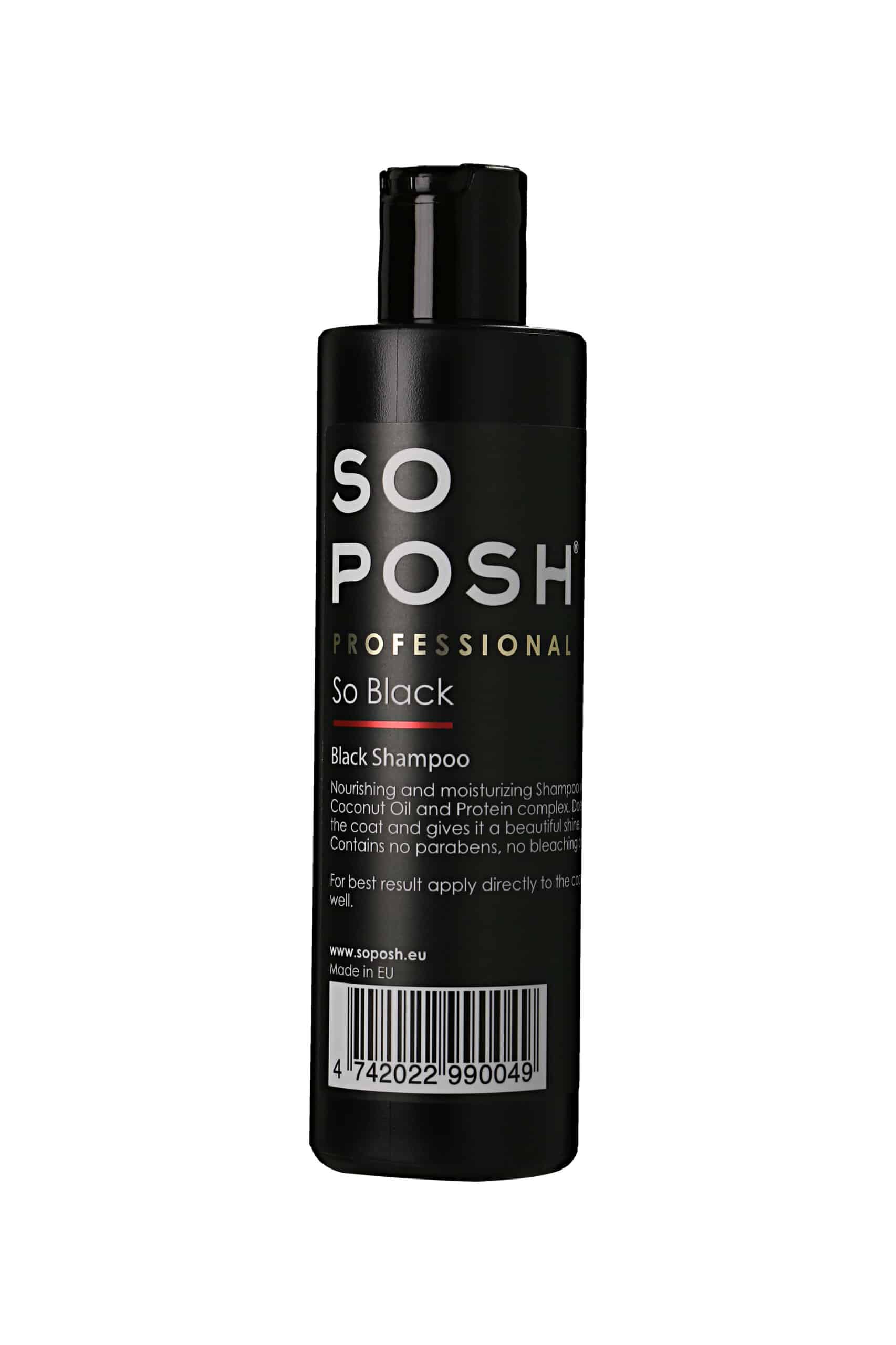 valkoinen tausta, musta koiran shampoota sisältävä pullo