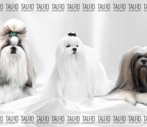 Tauro mikrokuitupyyhe 3 pientä koiraa